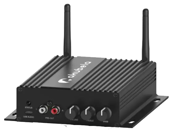 [AMP-E1 39019-P9-1] Akubela Amplifier 2.1