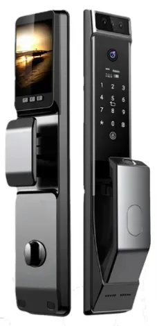 [LWF13] LWF13-Fully Automatic Smart Door Lock