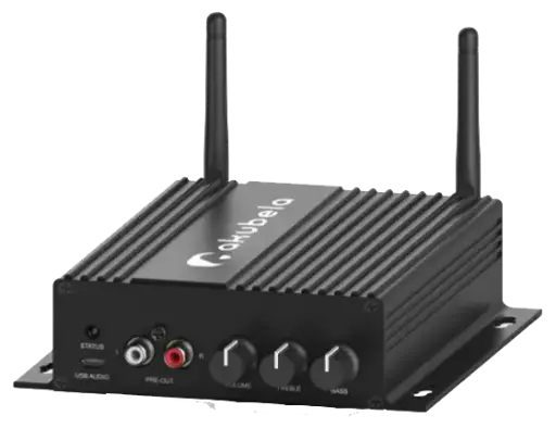 [AMP-E1-39019-P9-1] Akubela Amplifier 2.1